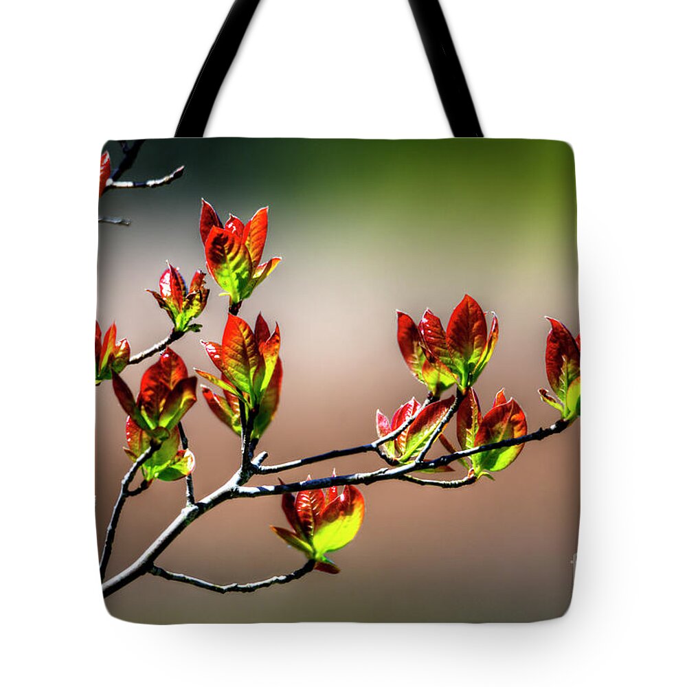 New Growth Tote Bag featuring the photograph New Growth by Paul Mashburn