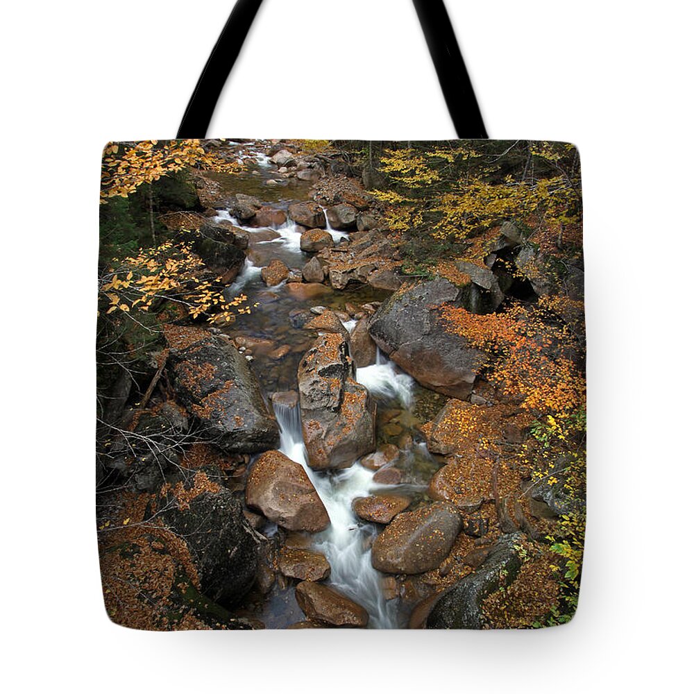 Liberty Gorge Tote Bag featuring the photograph New Hampshire Liberty Gorge by Juergen Roth
