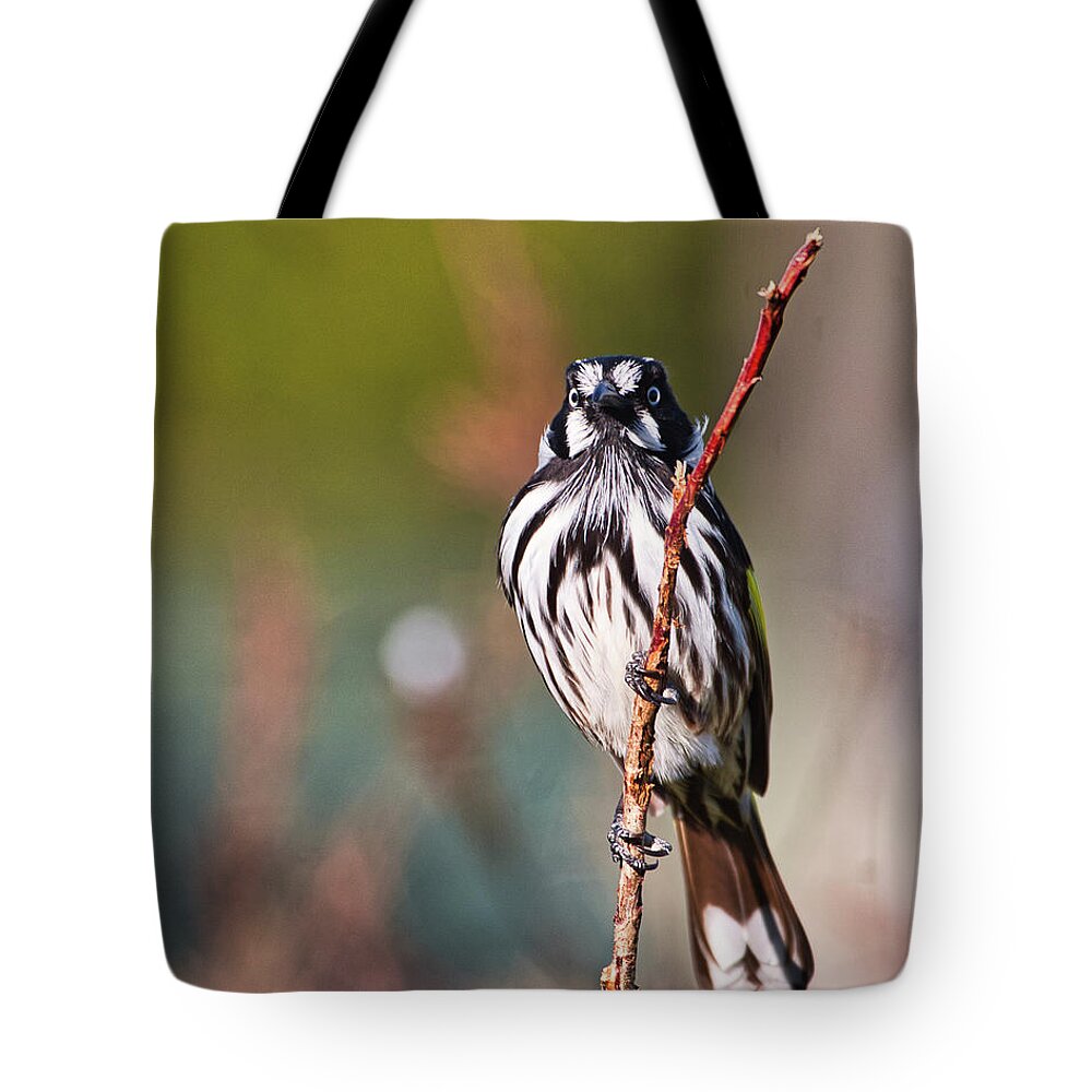 Bird Tote Bag featuring the photograph New Holland Honeyeater by Steven Ralser