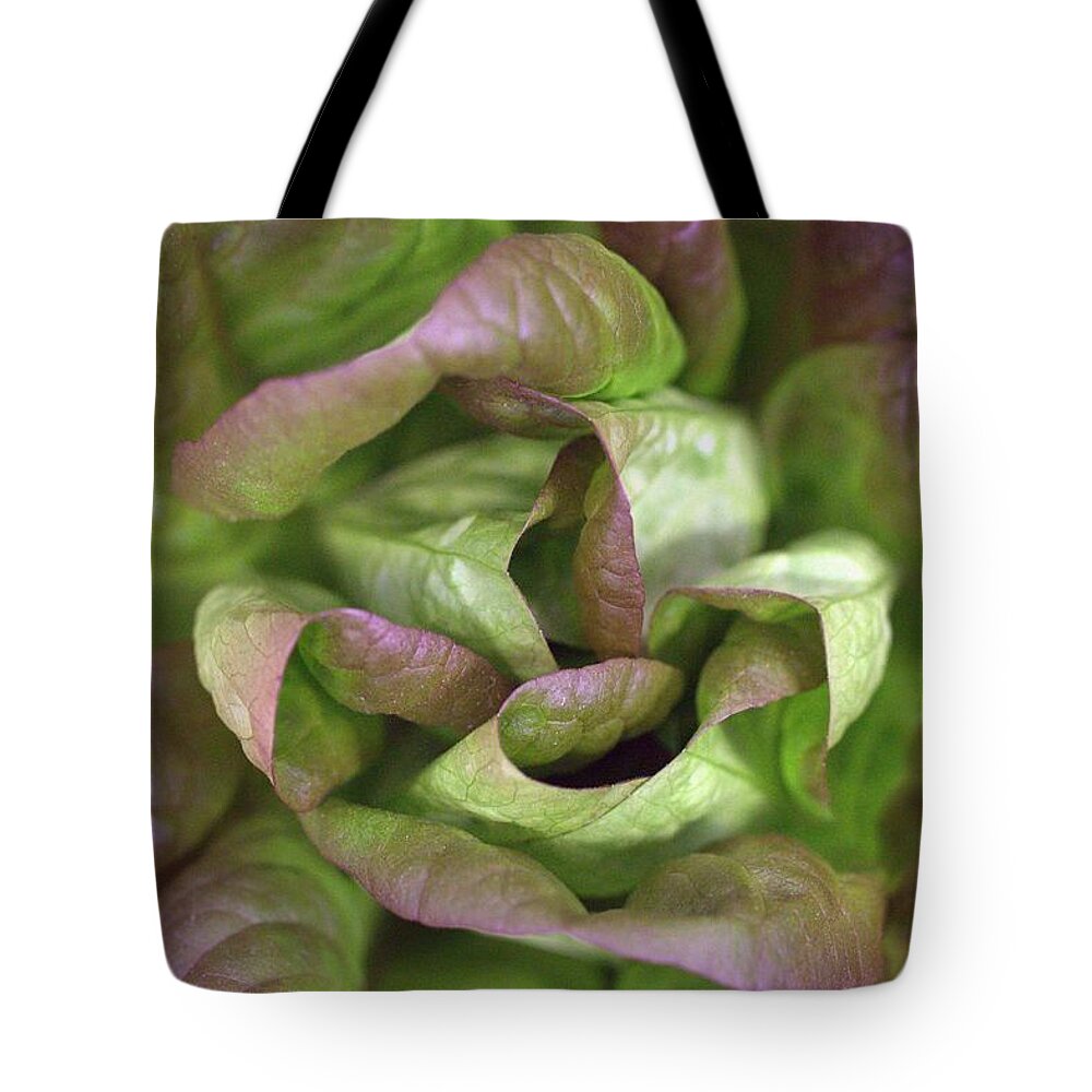 Lettuce Tote Bag featuring the photograph New Lettuce by Joseph Skompski