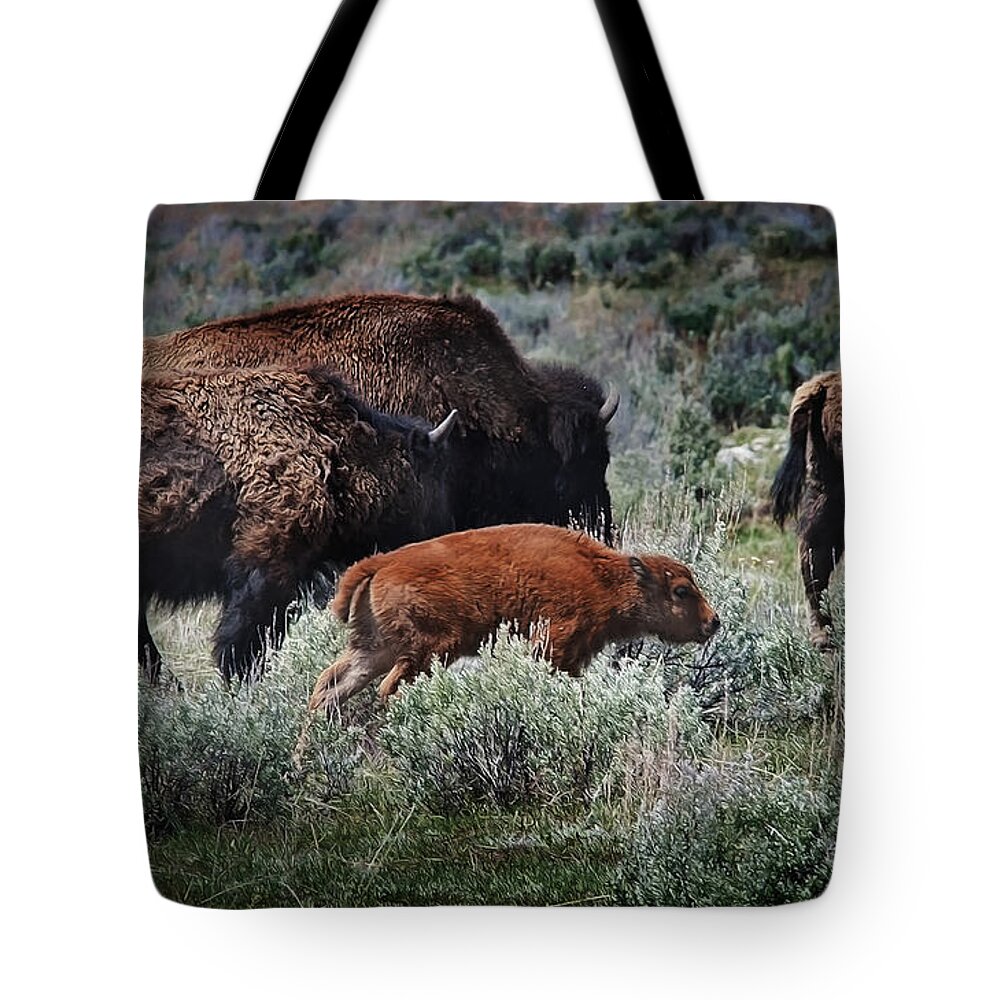 Animals Tote Bag featuring the photograph New life on the prairie by John Christopher