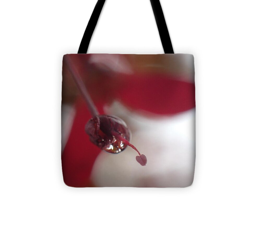 Dreamy Tote Bag featuring the photograph New Love Grows by Christina Verdgeline