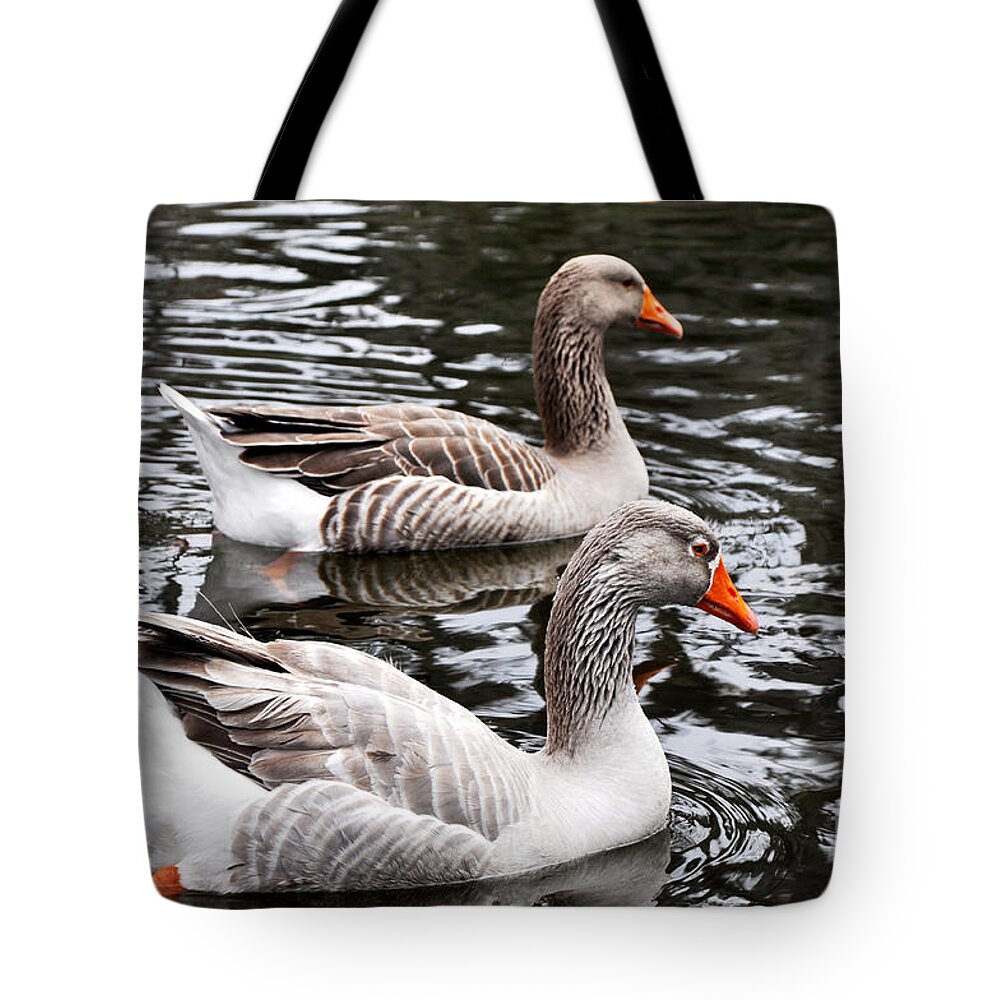 New Orleans Ducks Tote Bag featuring the photograph New Orleans Ducks by Andrew Dinh