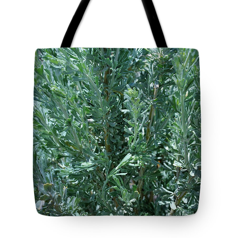 Landscape Tote Bag featuring the photograph New Sage by Ron Cline