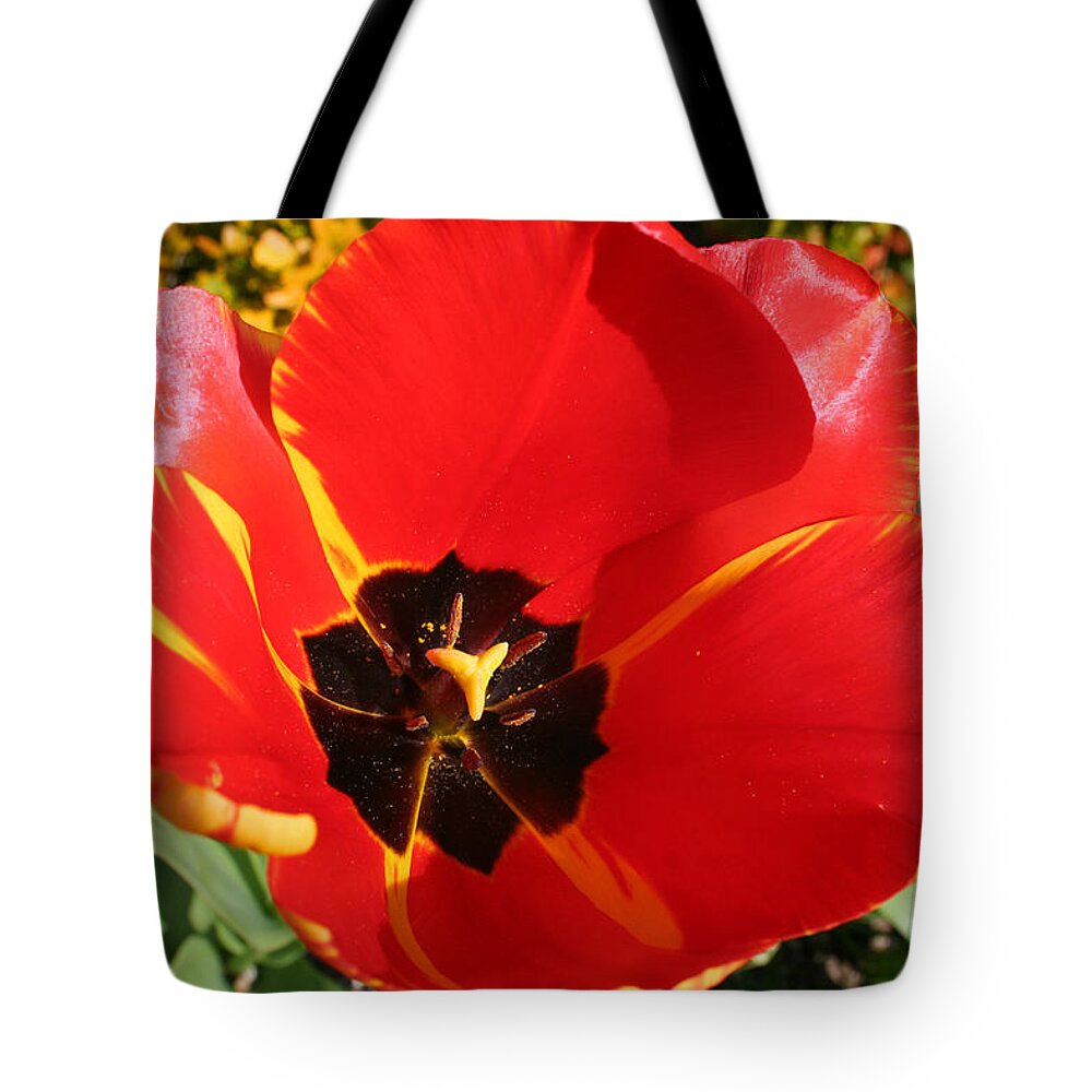 Red Tulips Tote Bag featuring the photograph New Spring Beginnings by Mary Gaines