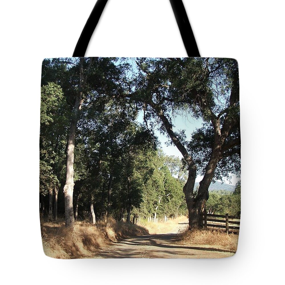 California Landscape Tote Bag featuring the photograph New Start by Shannon Grissom