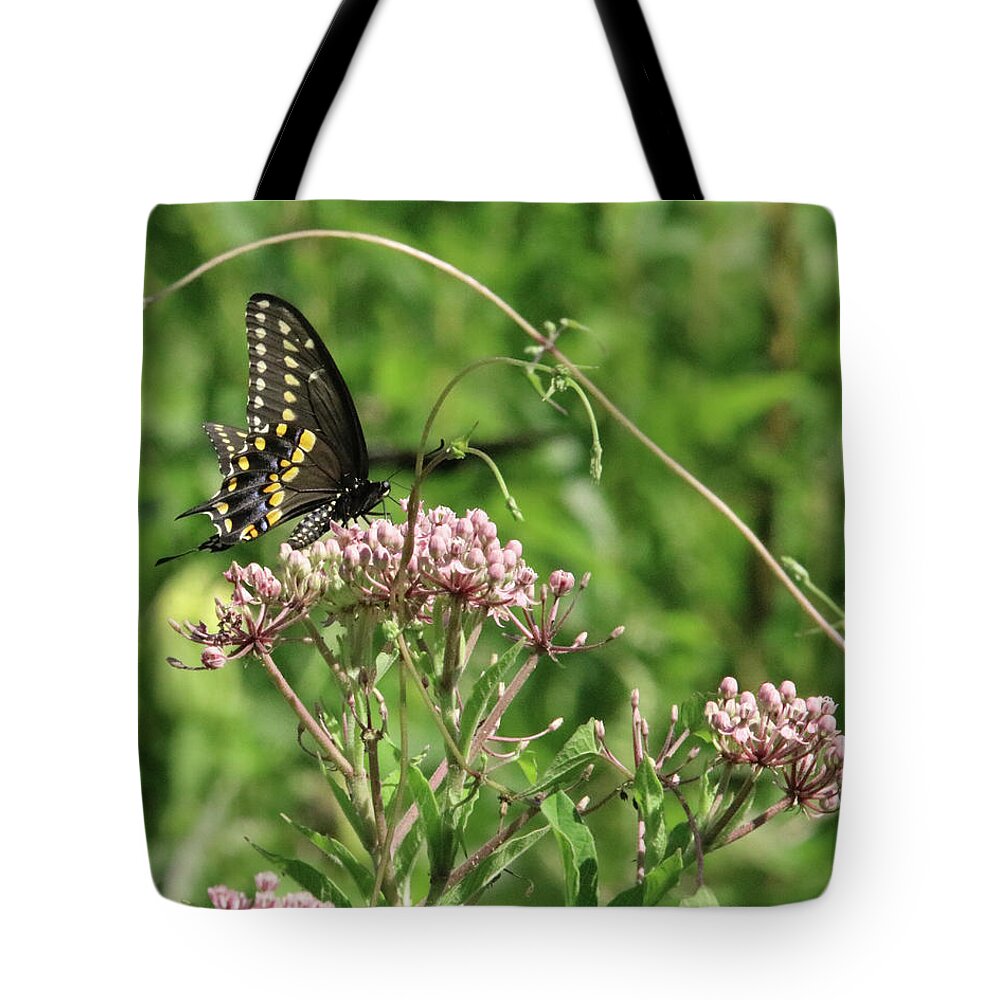 Swallow Tail Butterfly Tote Bag featuring the photograph Male American Swallowtail Papilio polyxenes by Captain Debbie Ritter