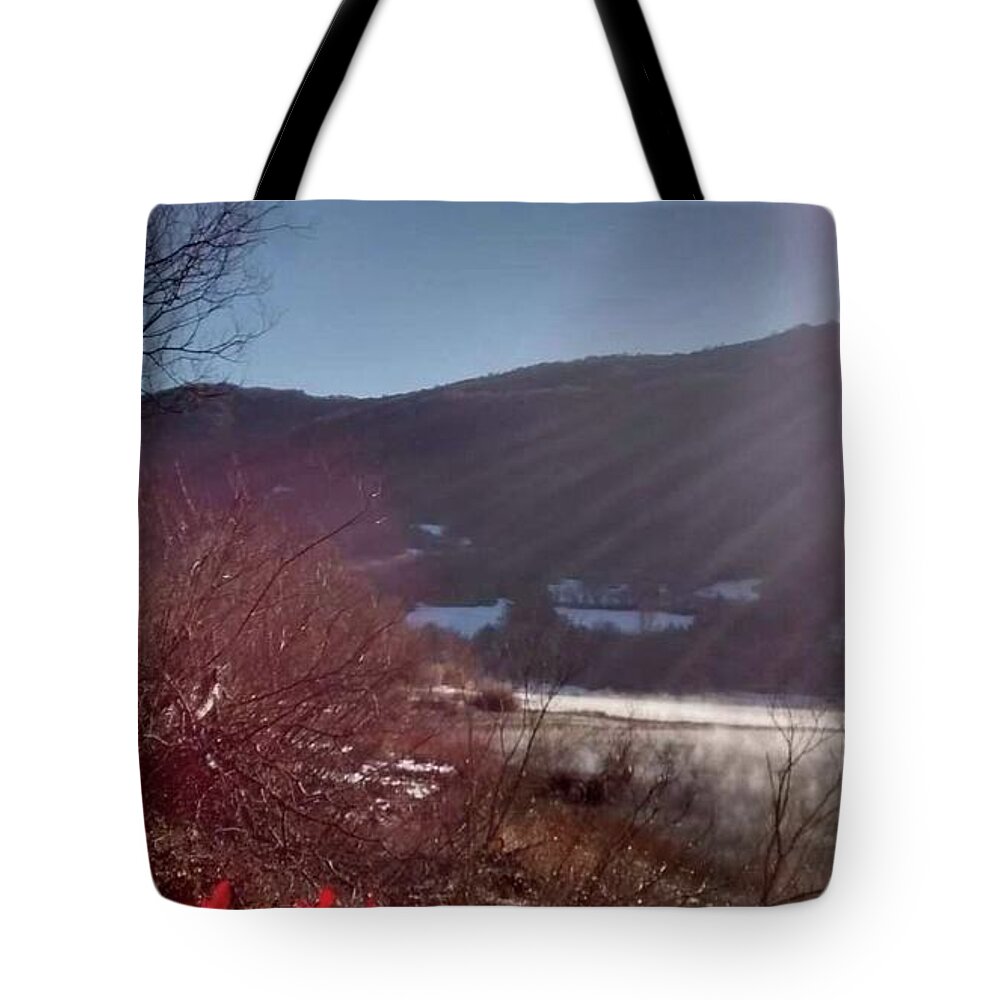Sun Tote Bag featuring the photograph New World I by Nieve Andrea