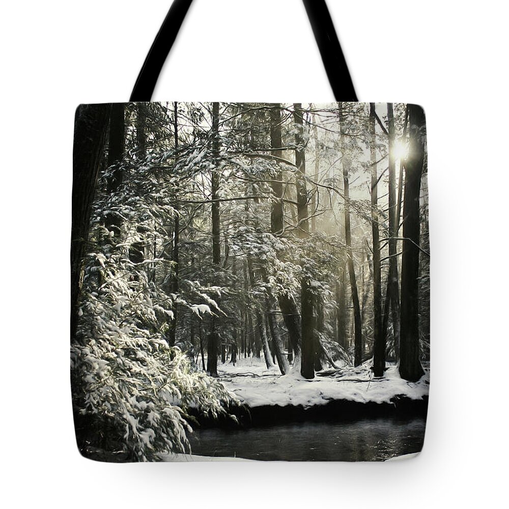 Snow Tote Bag featuring the photograph New Years Snowfall by Lori Deiter