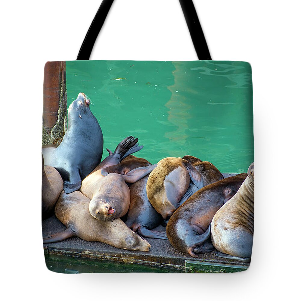 Oregon Coast Tote Bag featuring the tapestry - textile Newport Sea Lions by Dennis Bucklin