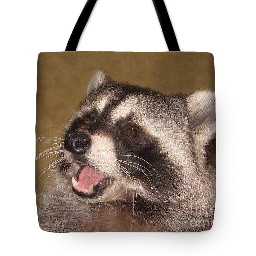 Raccoon Tote Bag featuring the photograph Nicky by Fortunate Findings Shirley Dickerson