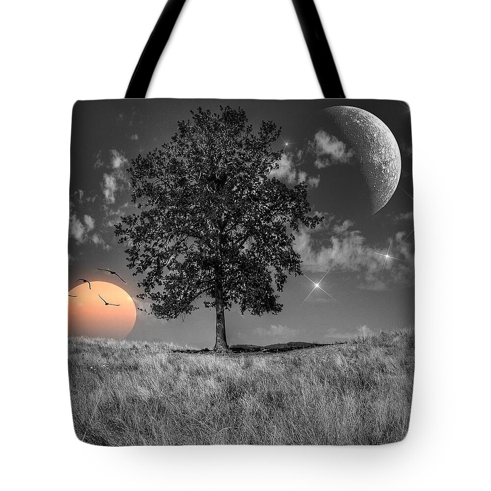 Night And Day Tote Bag featuring the photograph Night and Day by Marianna Mills