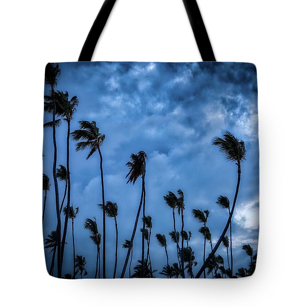 Night Tote Bag featuring the photograph Night Beach by Ross Henton