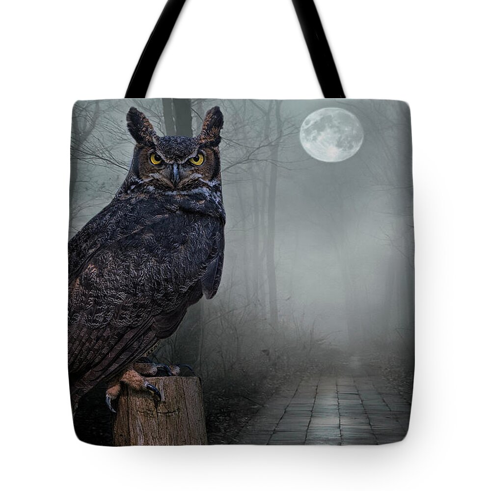 Owl Tote Bag featuring the photograph Night Sentinel by Peg Runyan