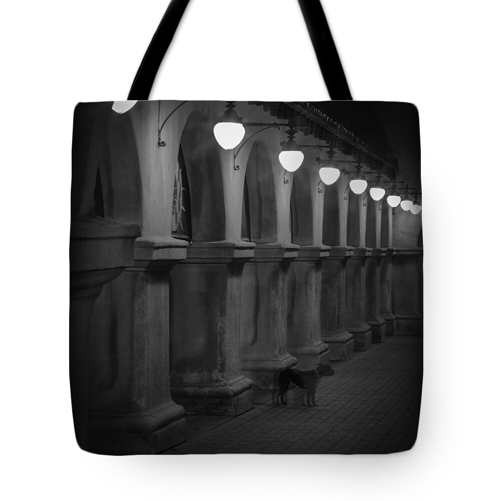 Balboa Park Tote Bag featuring the photograph Night Watchman by Dusty Wynne