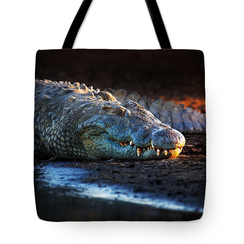 Nile Crocodile Tote Bags
