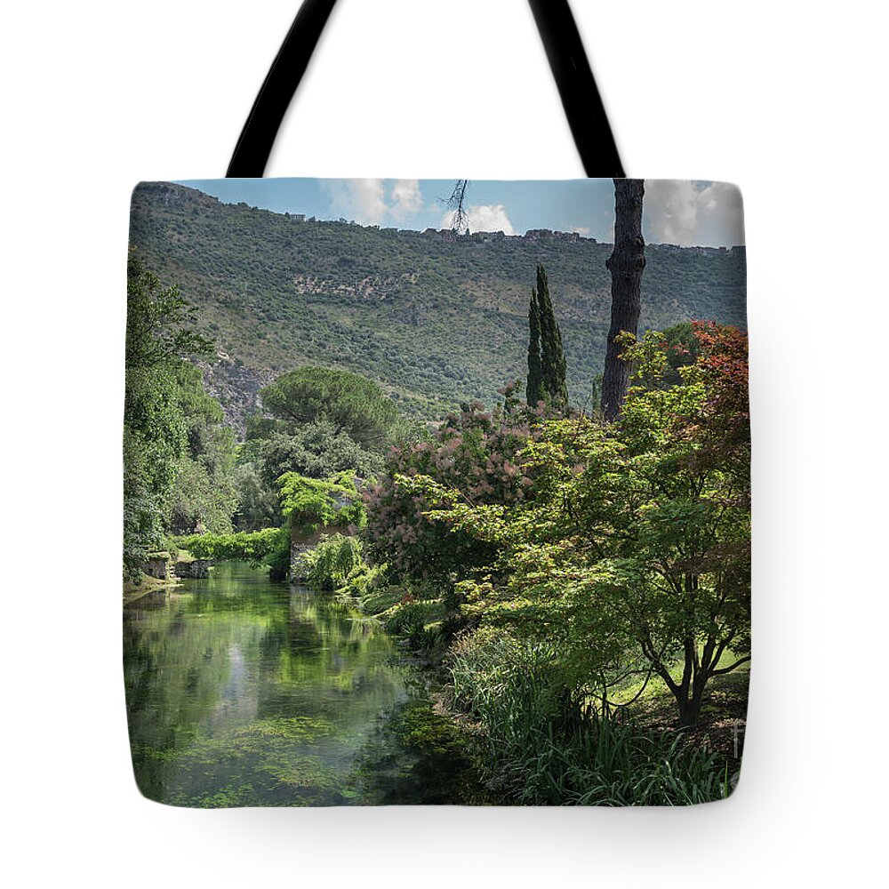 Ninfa Tote Bag featuring the photograph Ninfa Garden, Rome Italy 5 by Perry Rodriguez