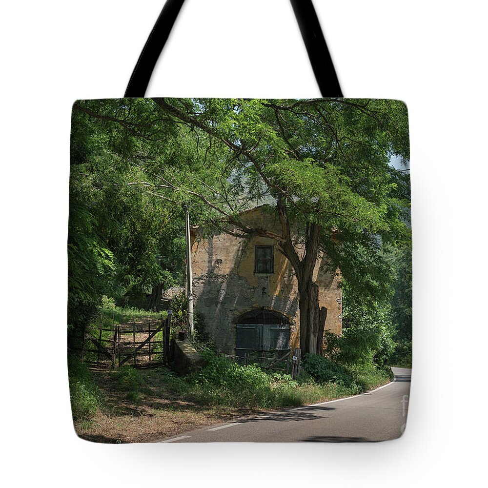 Bamboo Tote Bag featuring the photograph Ninfa Garden, Rome Italy 9 by Perry Rodriguez
