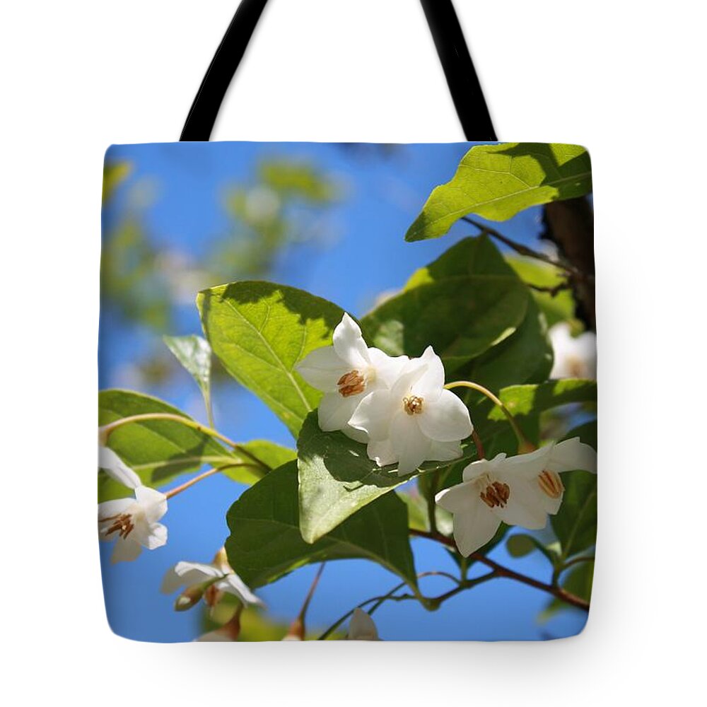  Tote Bag featuring the photograph Nissi Farm by Karis Tsolomitis
