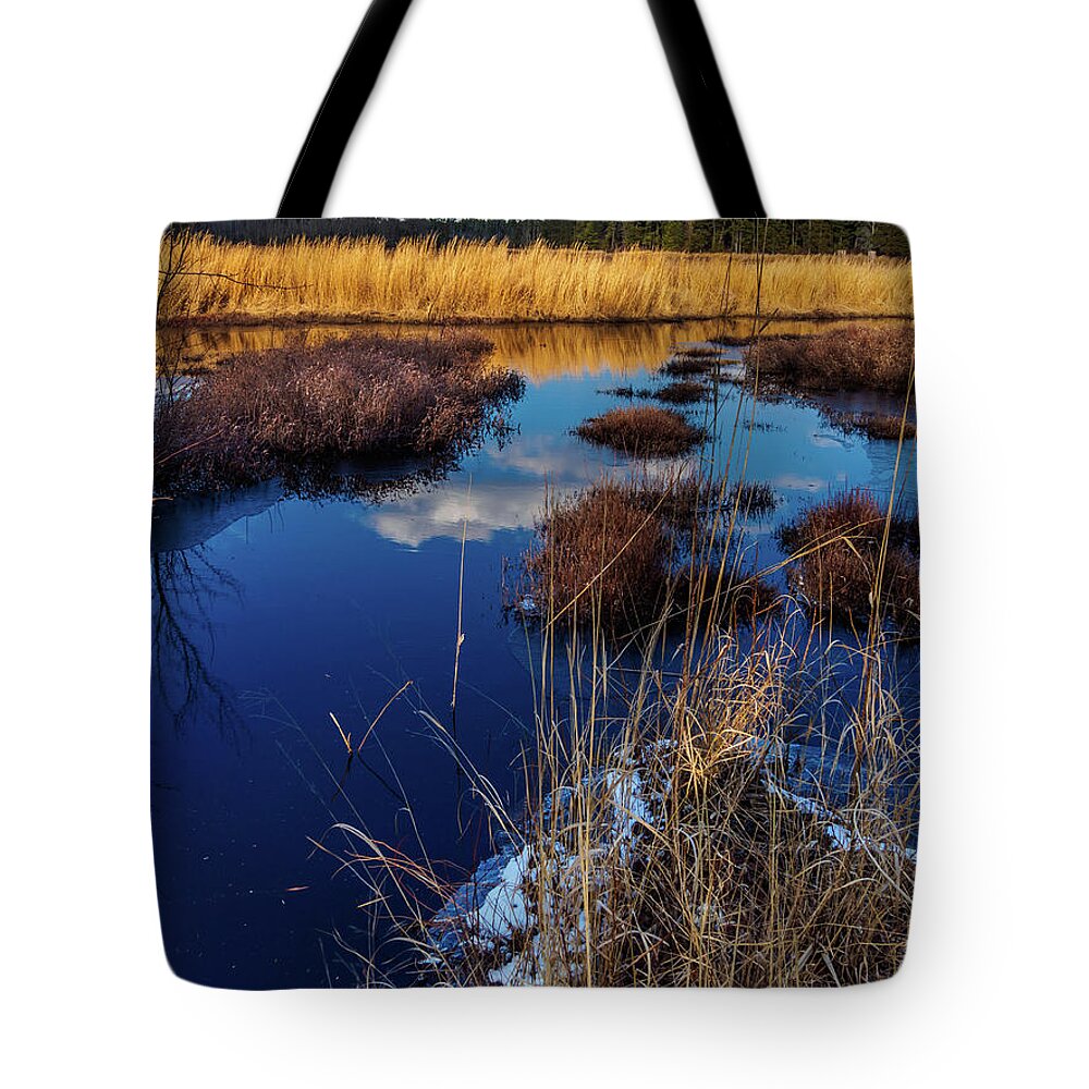 Landscape Tote Bag featuring the photograph NJ Pinelands Savanna Art by Louis Dallara