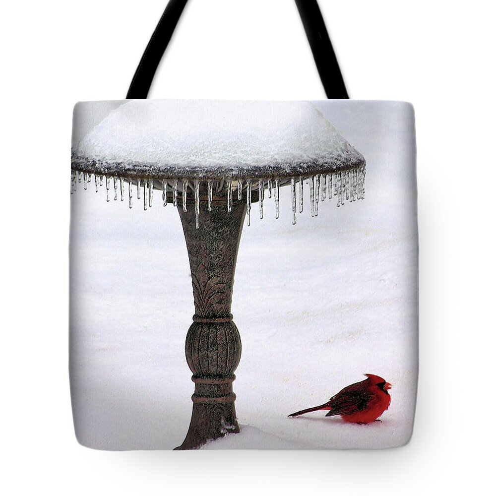 Snow Tote Bag featuring the photograph No Bath Today by Kristin Elmquist