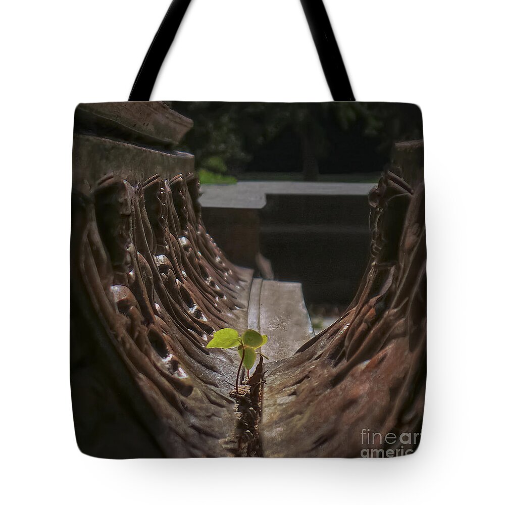 Motivational Tote Bag featuring the photograph No Excuses by Charlie Cliques
