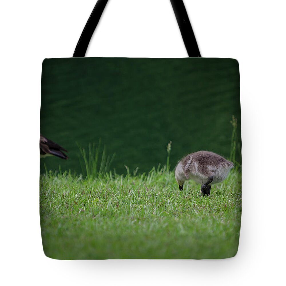 Goose Tote Bag featuring the photograph No Matter How Far I Drift Away by Dale Powell