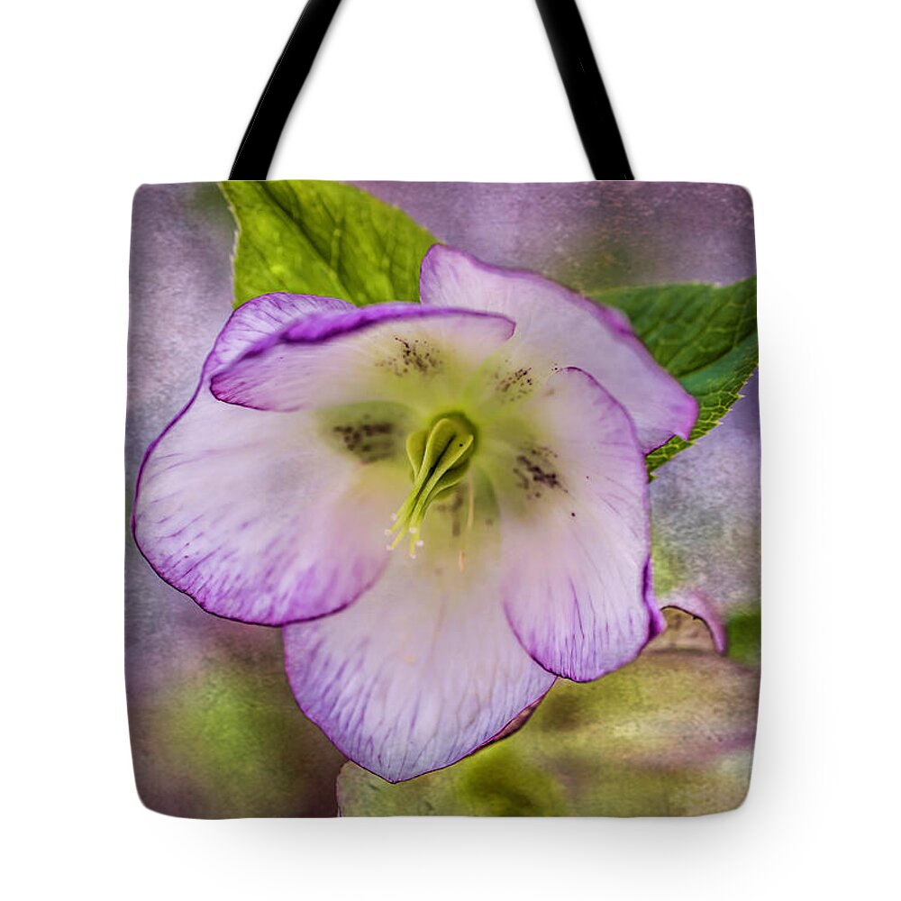 Oriental Hellebore Tote Bag featuring the photograph Nodding Her Head by Cynthia Wolfe