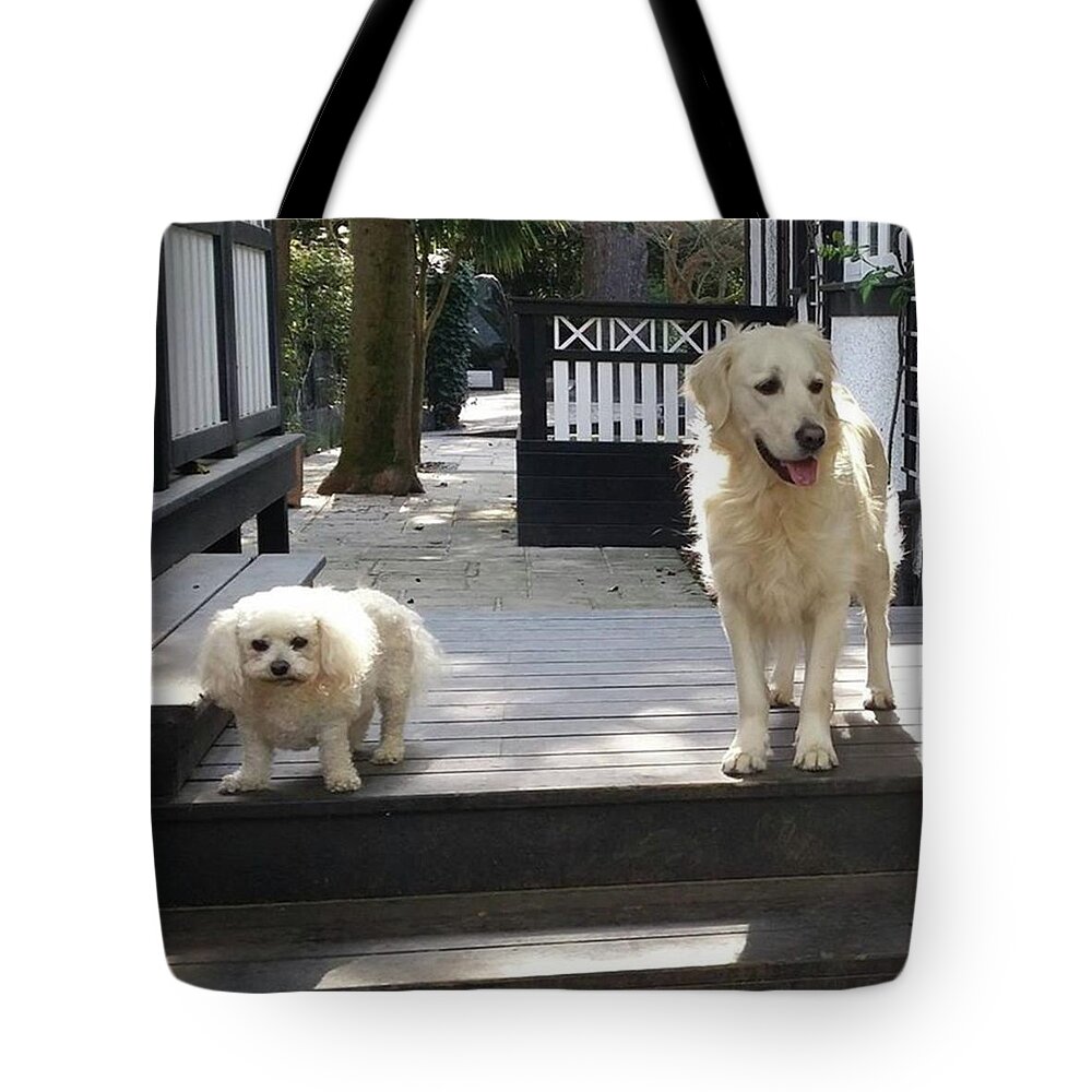 Identical Tote Bags