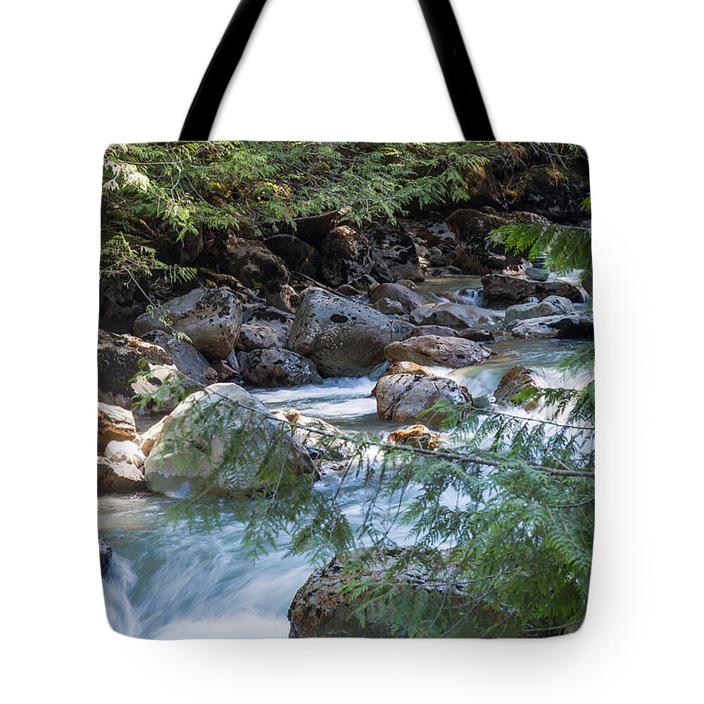 Bellingham Tote Bag featuring the photograph Nooksack Falls by Judy Wright Lott