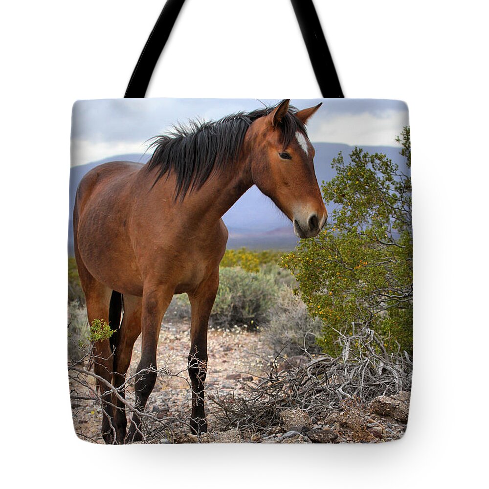 Mustang Tote Bag featuring the photograph Nopah Mountains Wild Horse by Adam Jewell