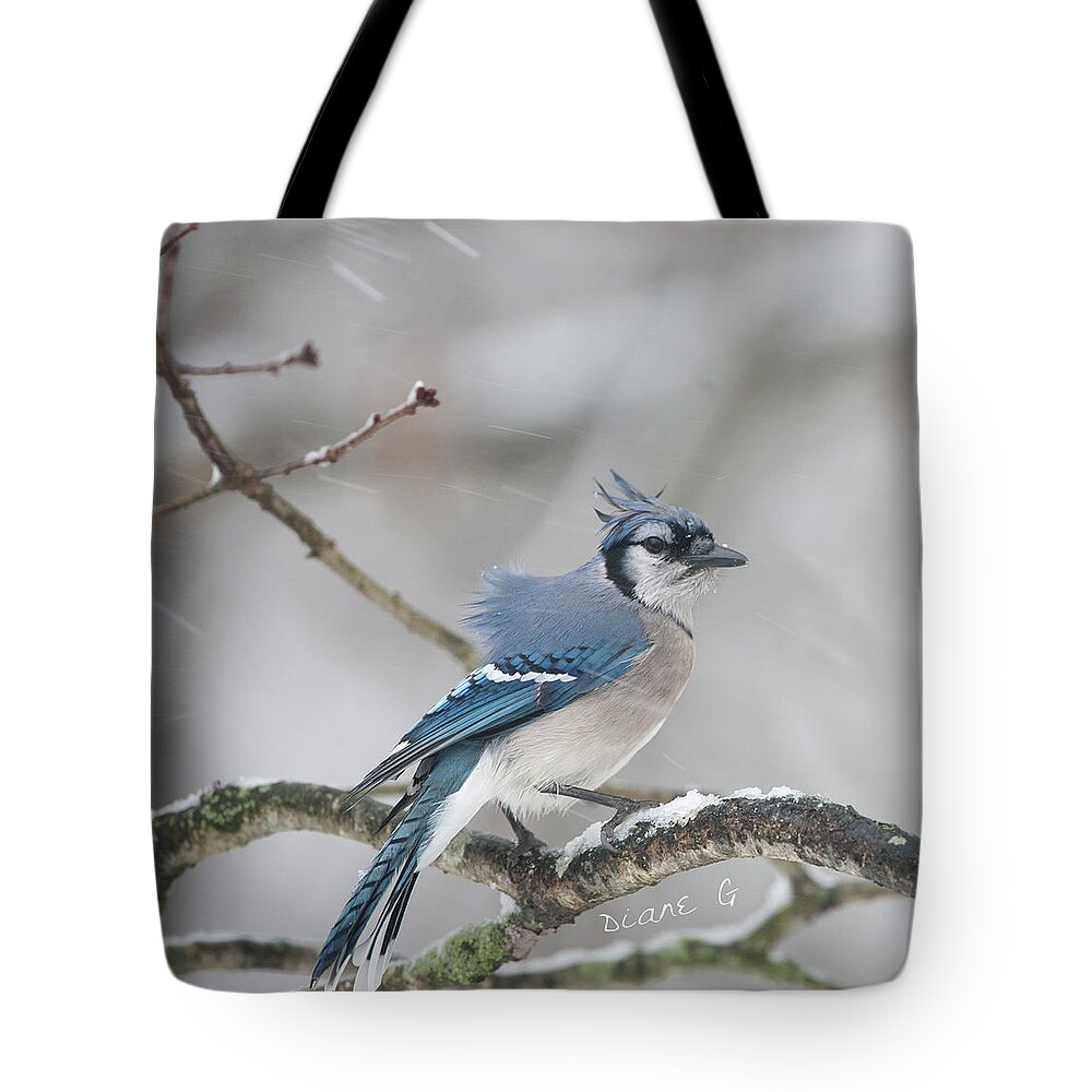  Blue Jay Tote Bag featuring the photograph Nor' Easter Blue Jay by Diane Giurco