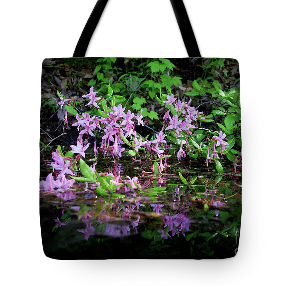  Tote Bag featuring the photograph Norris Lake Floral 2 by Douglas Stucky