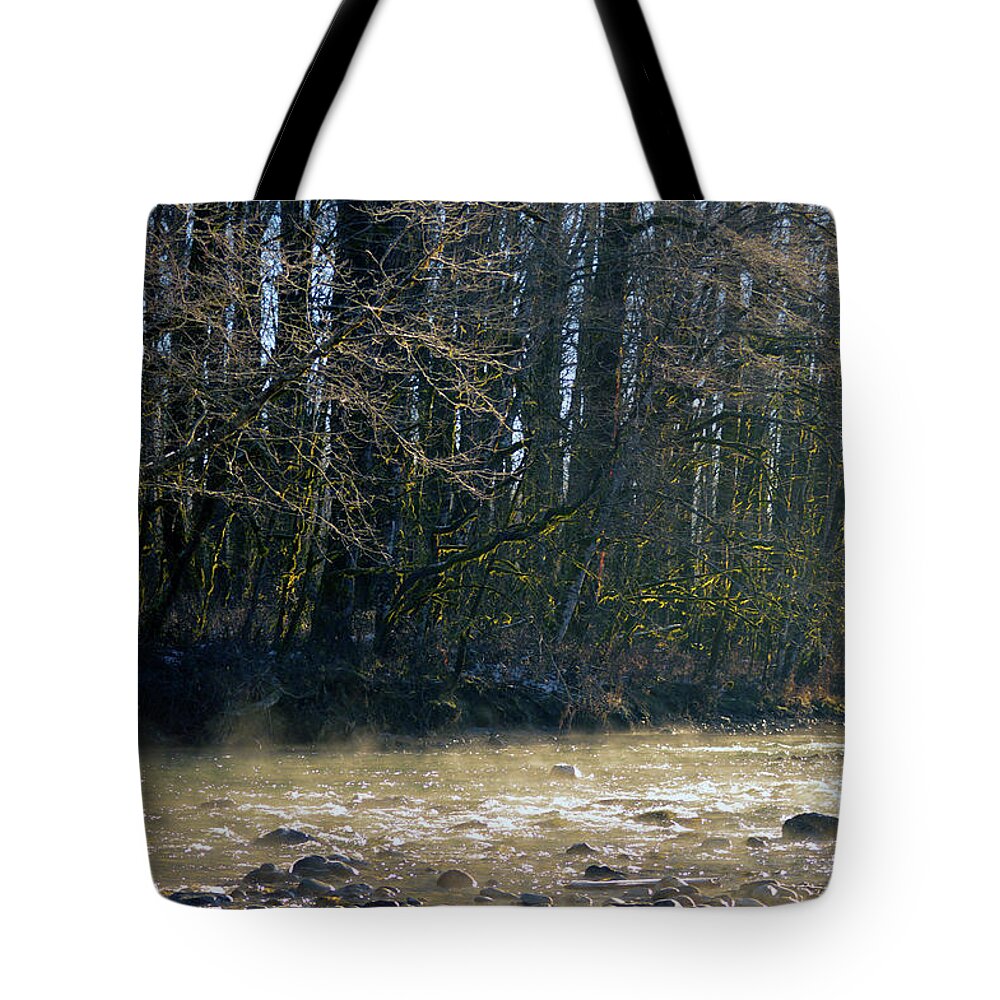  Tote Bag featuring the photograph North Stilly Too by Brian O'Kelly