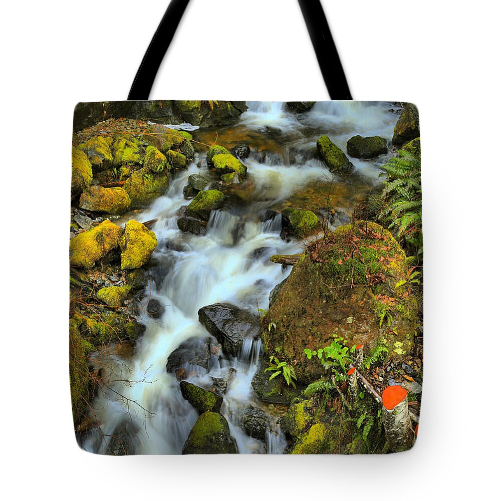 Port Alice Tote Bag featuring the photograph North Vancouver Island Waterfall by Adam Jewell