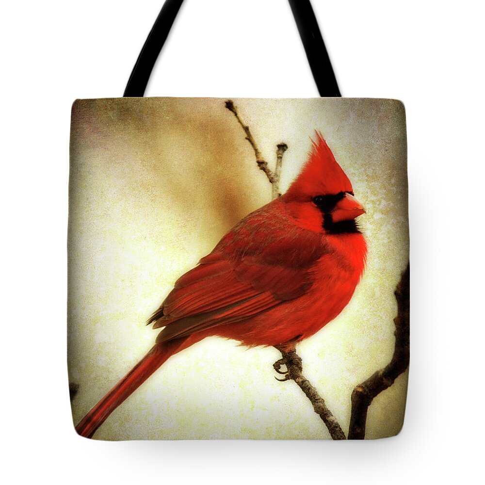 backyard Birds Tote Bag featuring the photograph Northern Cardinal by Lana Trussell
