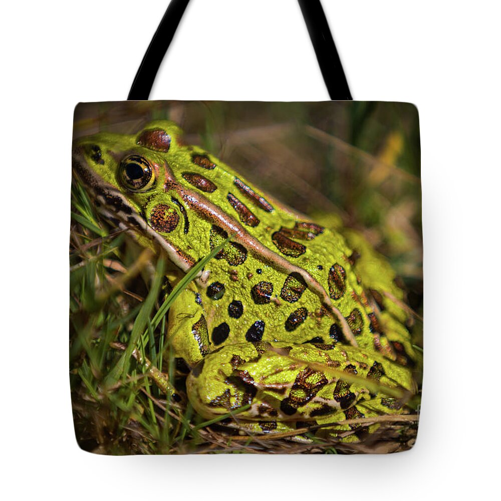 Northern Leopard Frog Tote Bags