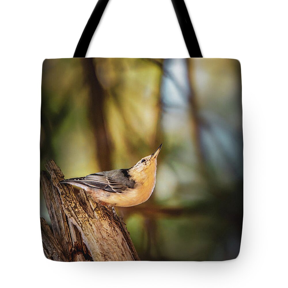 Animal Tote Bag featuring the photograph Northern Nuthatch by Bob Orsillo