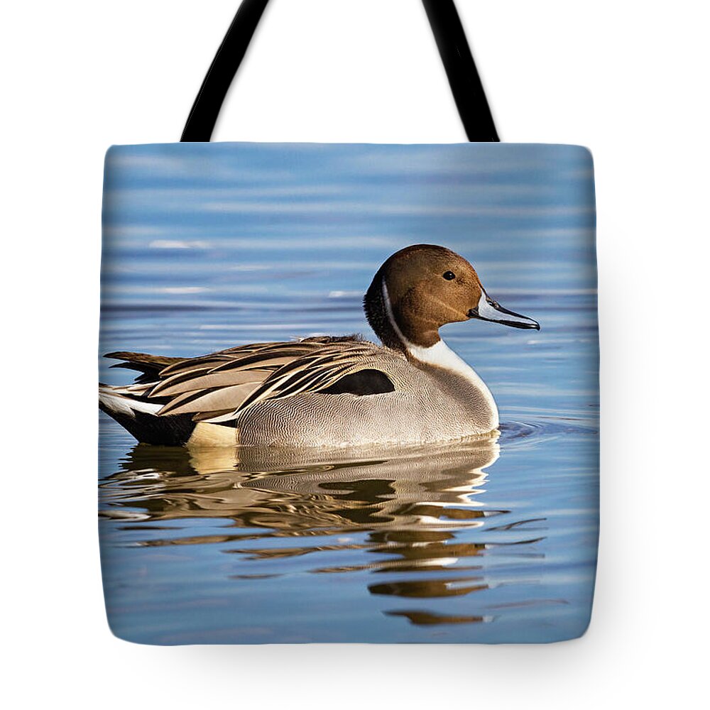 Mark Miller Photos Tote Bag featuring the photograph Northern Pintail Duck by Mark Miller