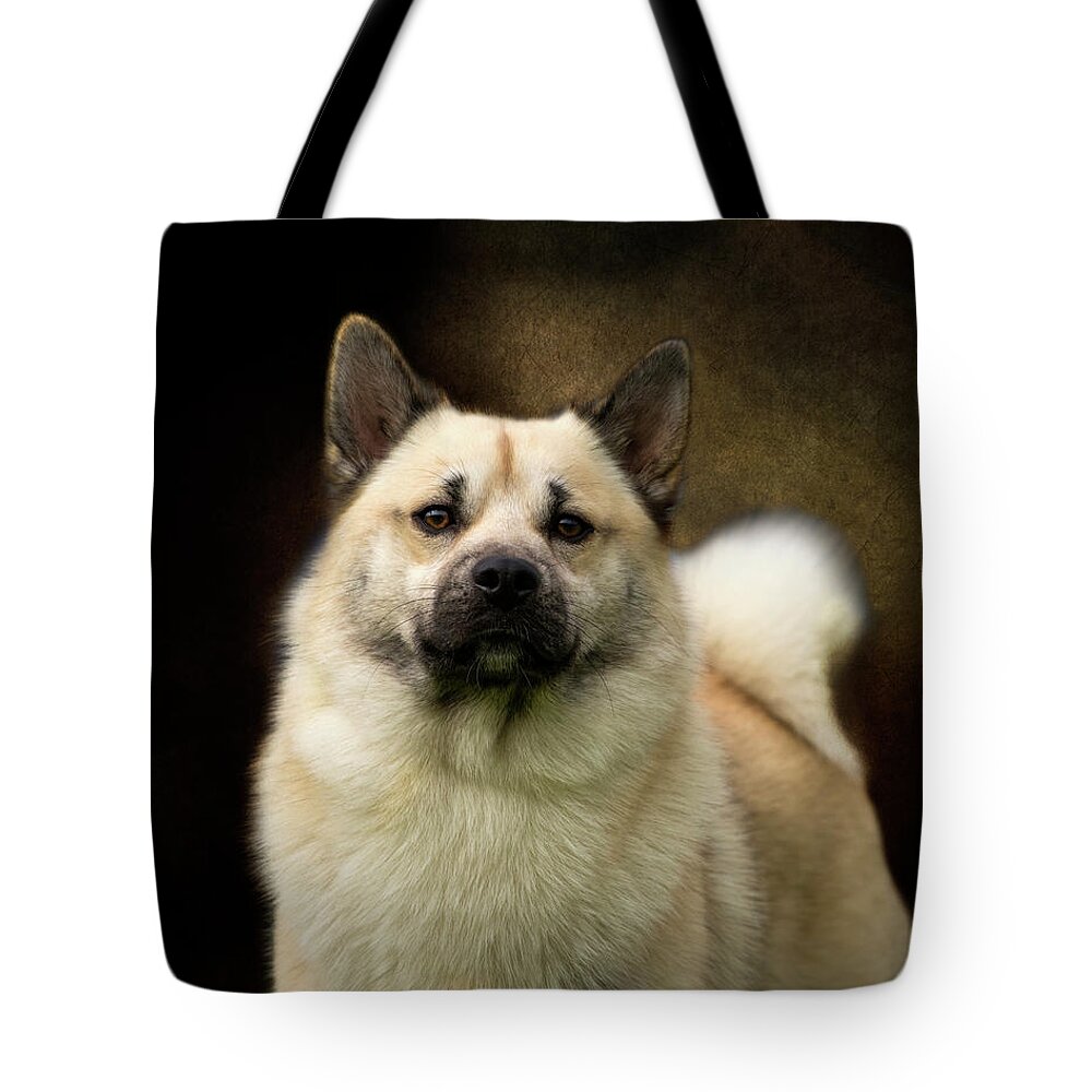 Buhund Tote Bag featuring the photograph Norwegian Buhund by Diana Andersen