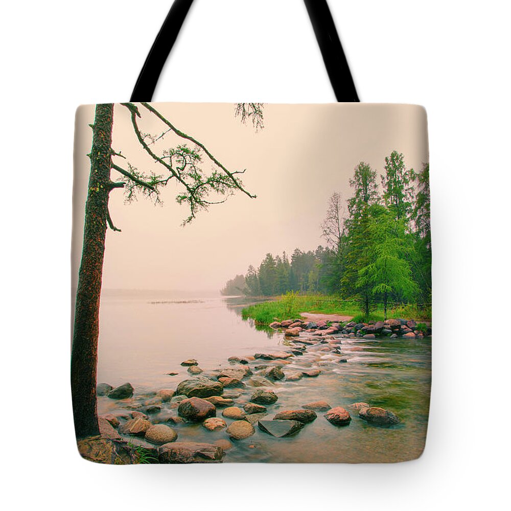 Mississippi Headwaters Tote Bag featuring the photograph Nostalgic Mississippi Headwaters by Nancy Dunivin