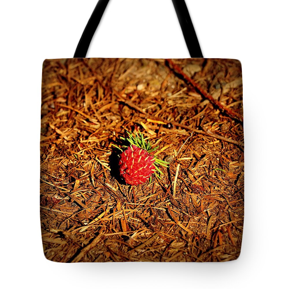 Raspberry Tote Bag featuring the photograph Not a raspberry by Lukasz Ryszka