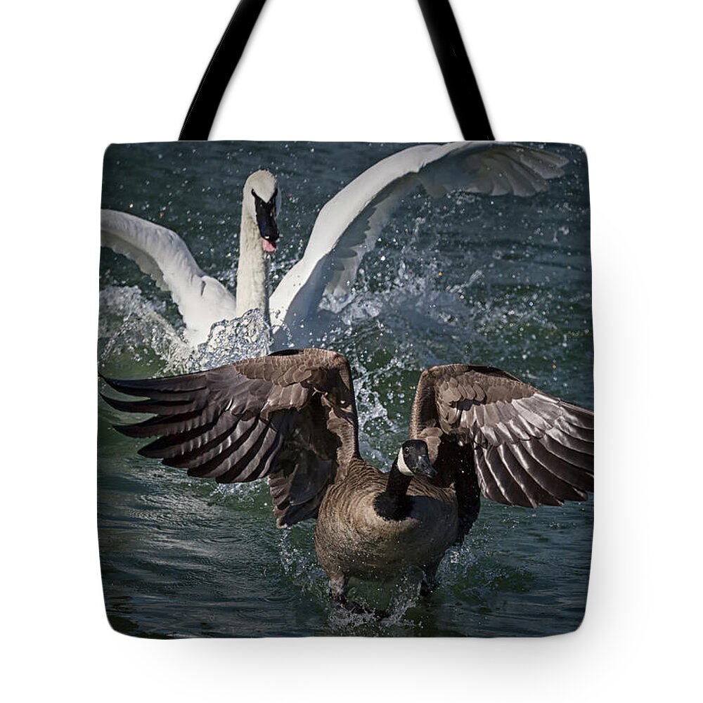Esquimalt Lagoon Tote Bag featuring the photograph Not Birds Of A Feather by Randy Hall
