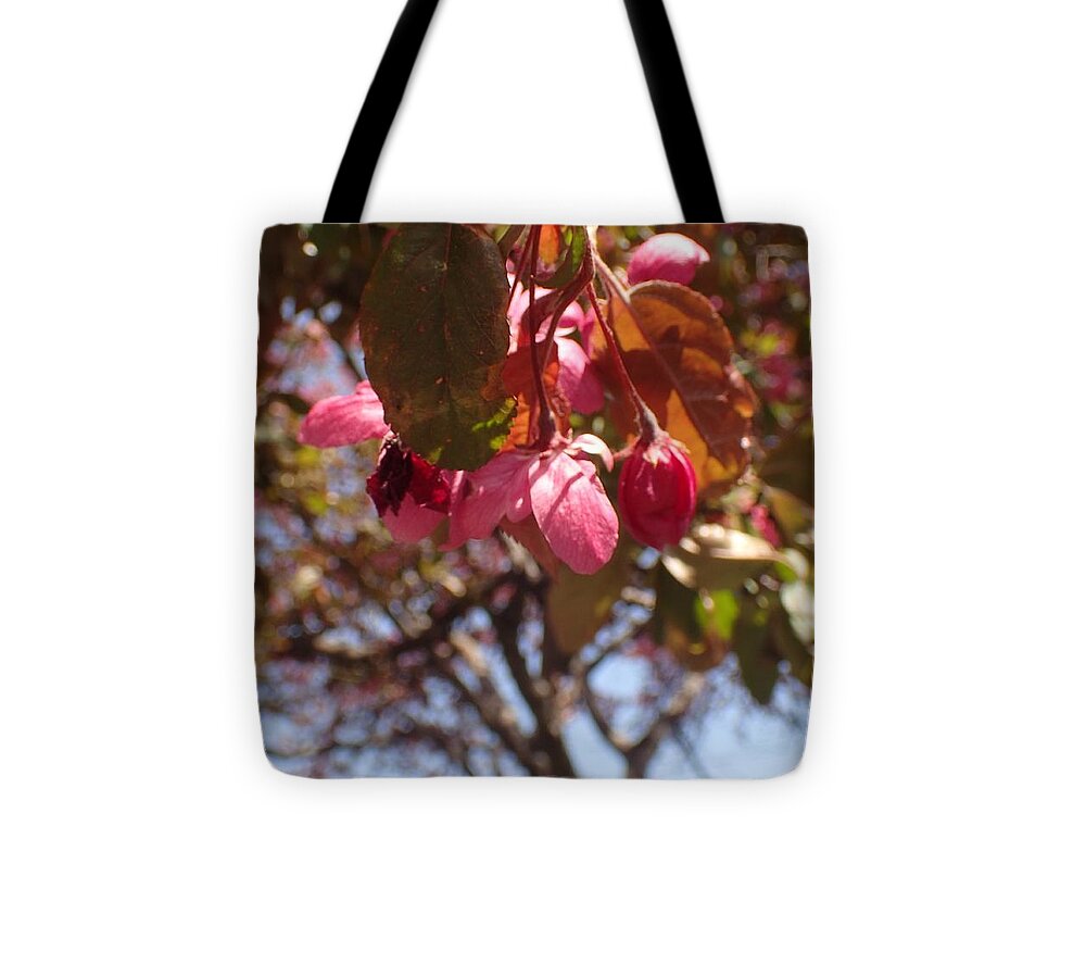 Flowers Tote Bag featuring the photograph Not Far from the Tree by Christina Verdgeline