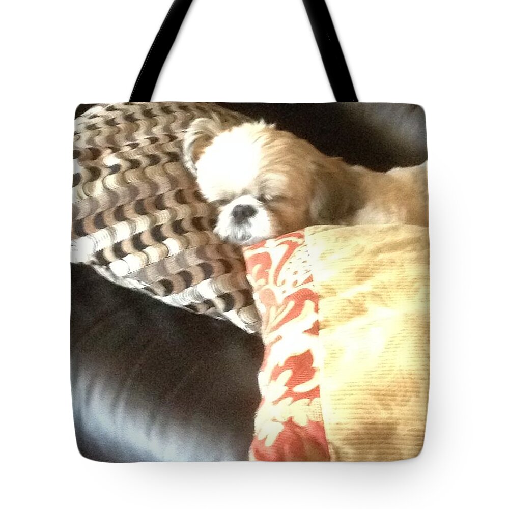 Shih Tzu Tote Bag featuring the photograph Not much for pillow talk.... by Lisa Koyle
