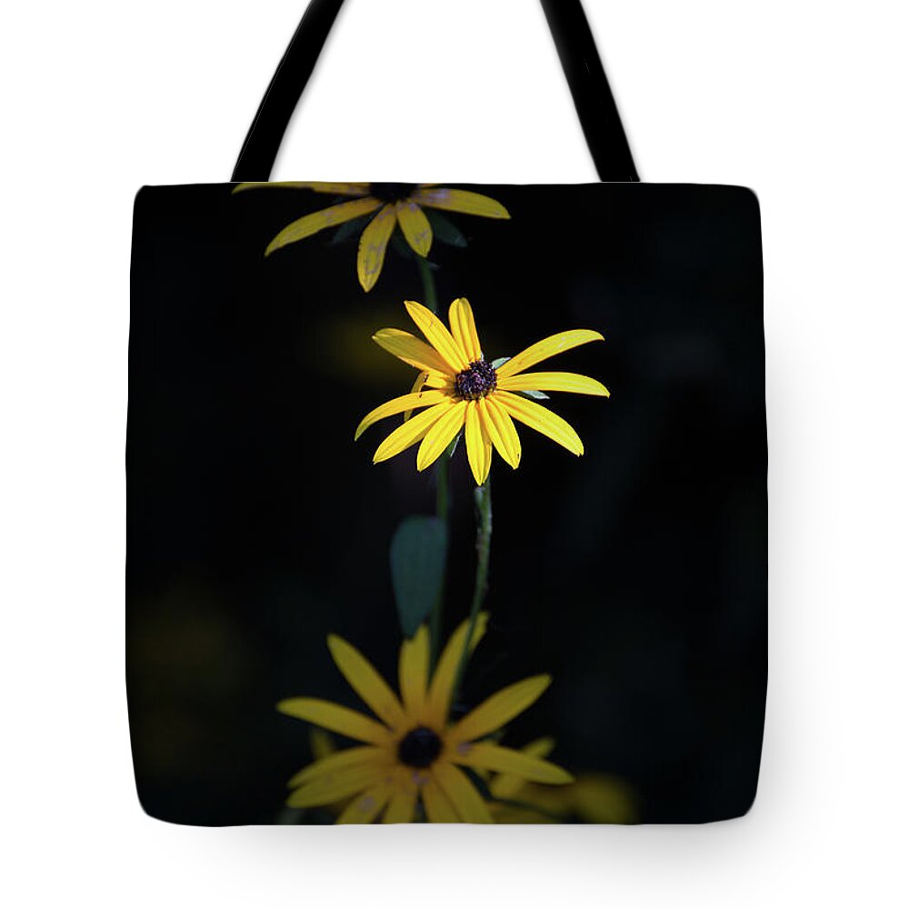 Daisy Tote Bag featuring the photograph Not Perfect by Kathleen Scanlan