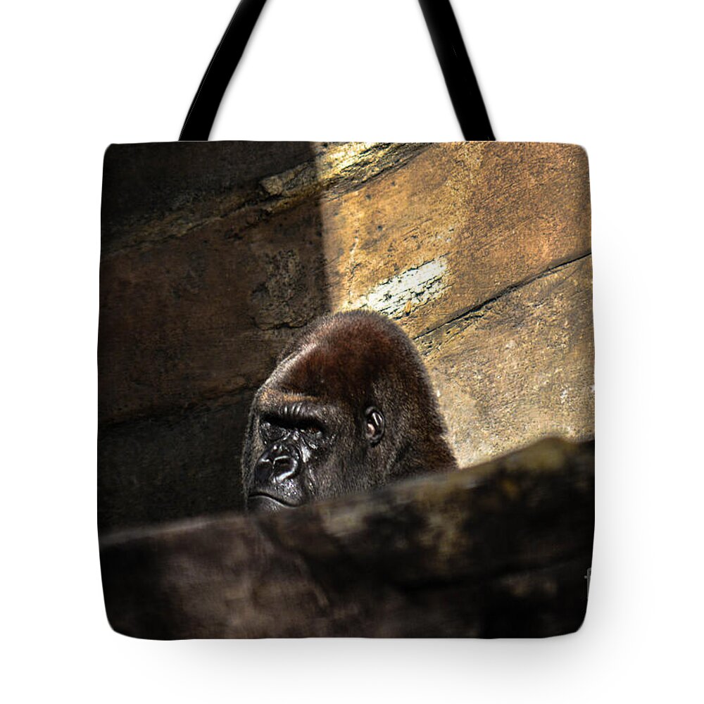 Primate Tote Bag featuring the photograph Not Today by Gary Keesler