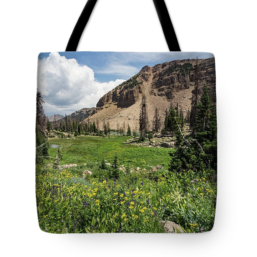 Utah Tote Bag featuring the photograph Notch Mountain Wildflowers and Lake Lovenia by Brett Pelletier