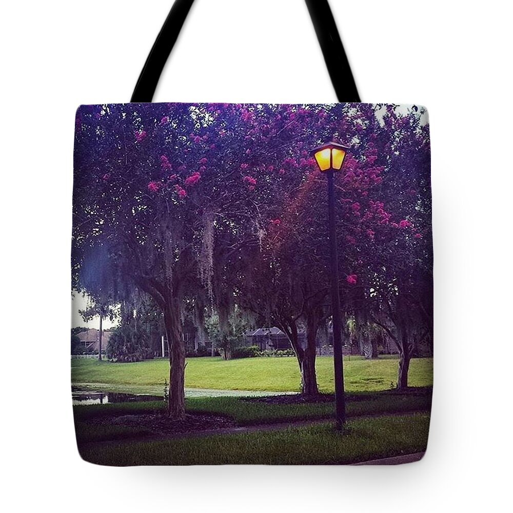 Beautiful Tote Bag featuring the photograph The Light That Shines From Within by Janel Cortez