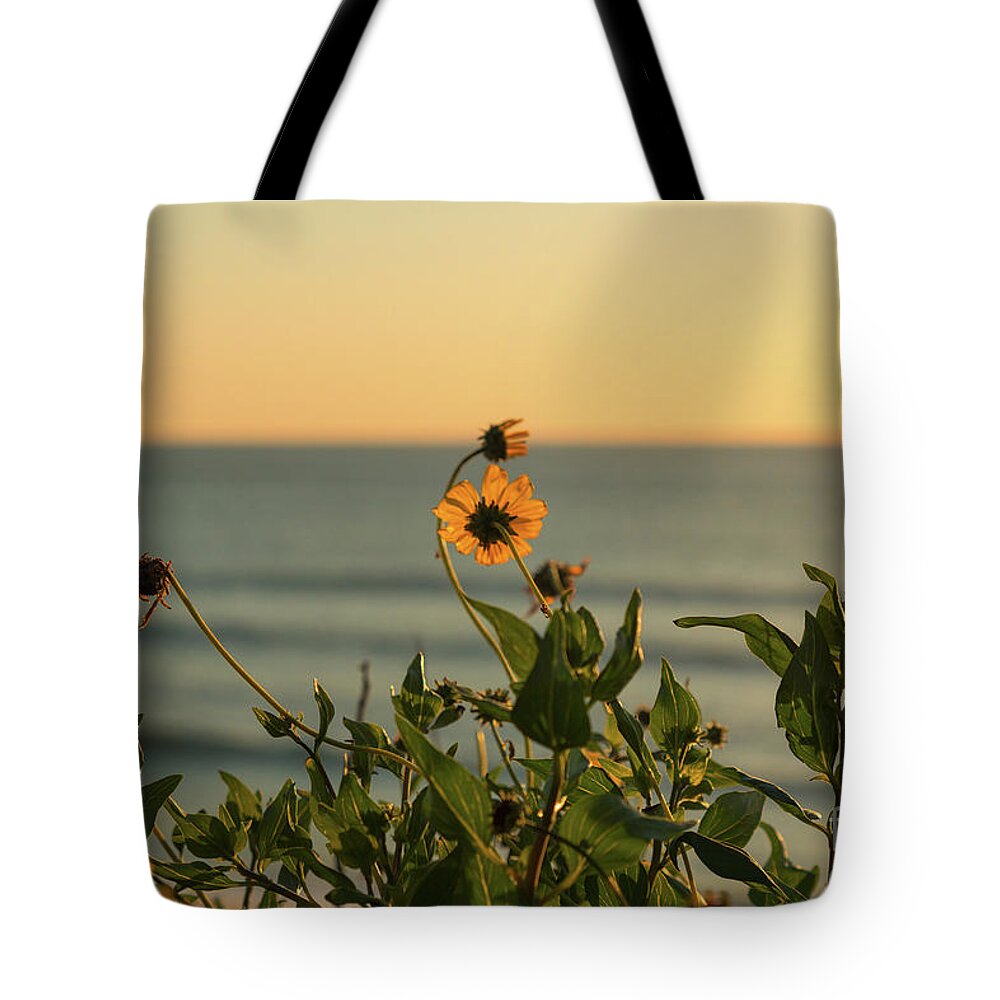 Sunset Tote Bag featuring the photograph Nothing Gold Can Stay by Ana V Ramirez